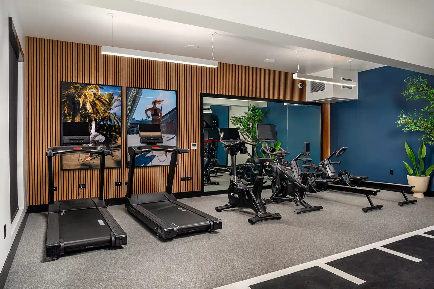 Sisal at Epoca Fitness I